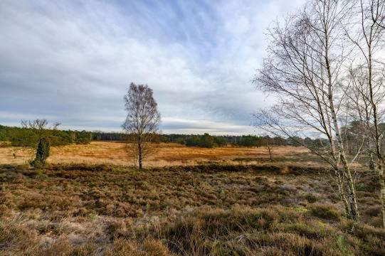 Vakantiebungalow De Schaapskooi Epe Luaran gambar